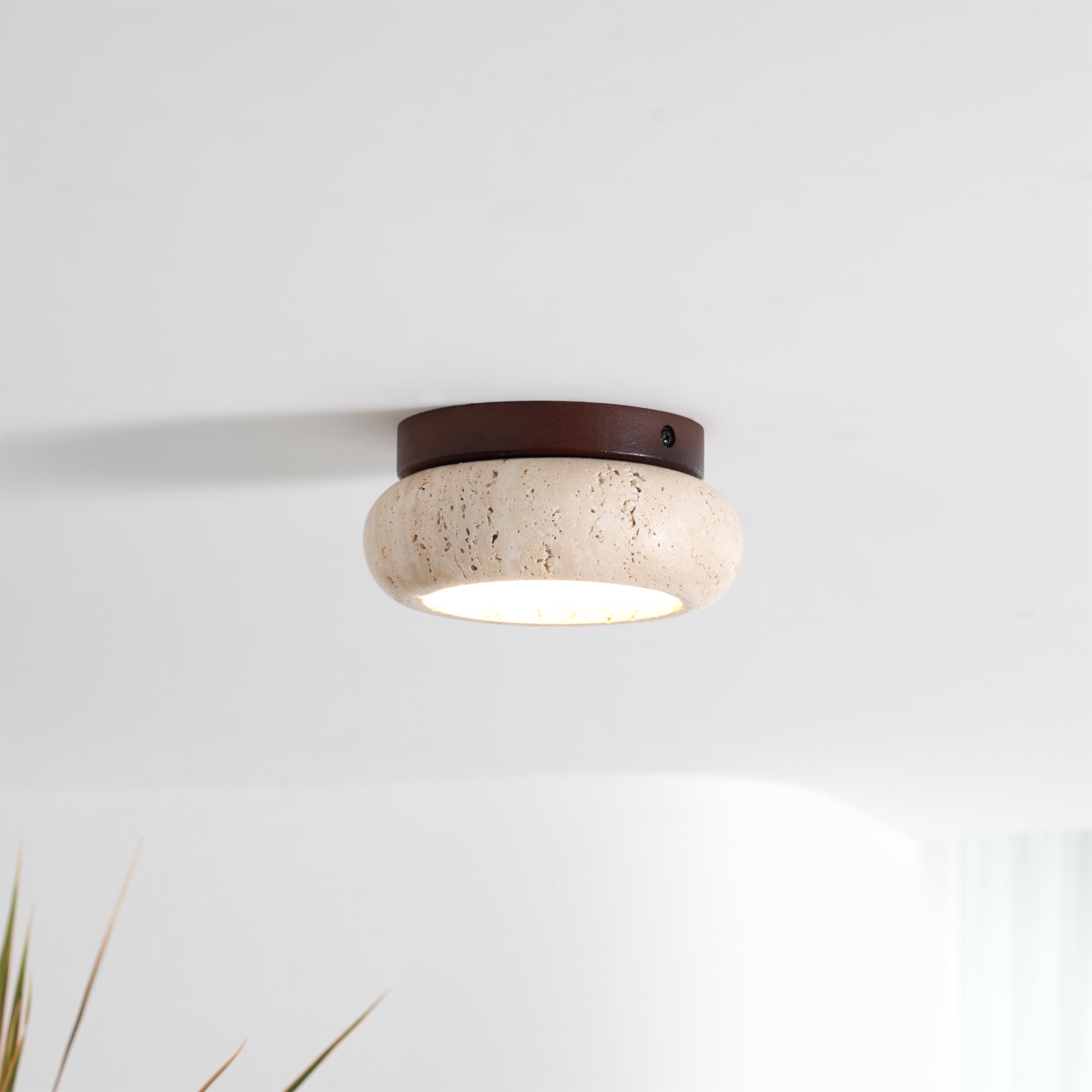 Cairns Ceiling Light