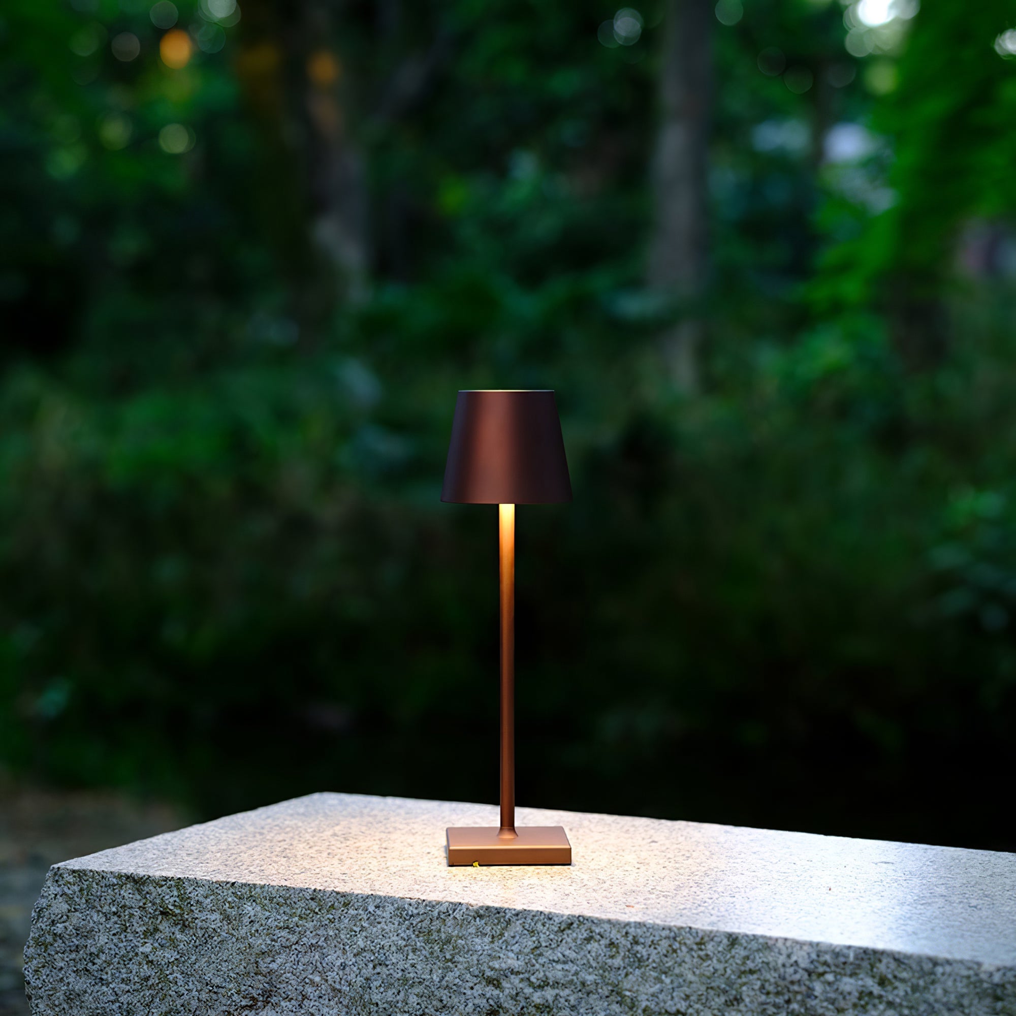 Doku Built-in Battery Table Lamp